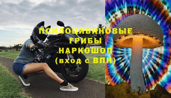 стафф Тобольск