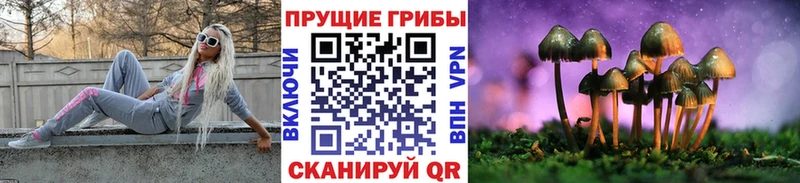 Галлюциногенные грибы Magic Shrooms  Хотьково 